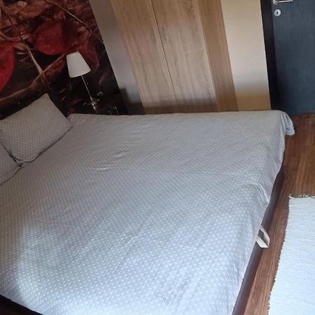 Apartment Vila Sandra زلاتيبور المظهر الخارجي الصورة